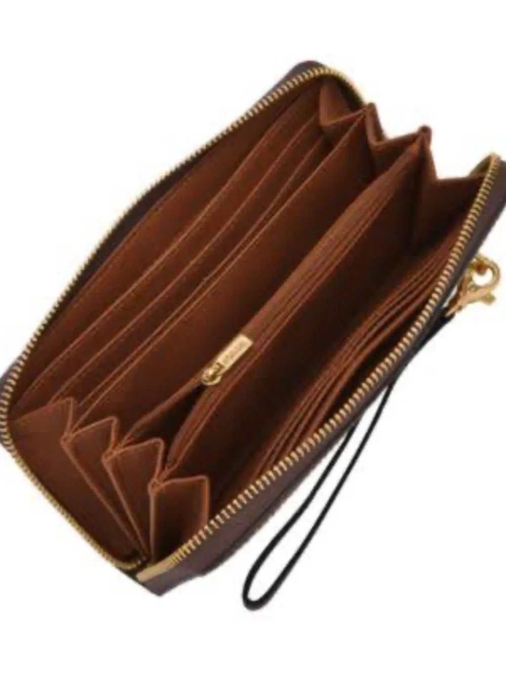 Fossil re $100